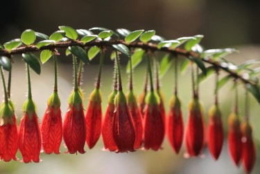 深圳龙华区私人快速借钱网，轻松解决资金难题