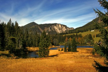 深圳龙华区民间私贷攻略：揭秘低成本借贷的秘密