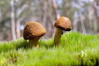 深圳龙华区私人老板放款：轻松融资的秘密通道